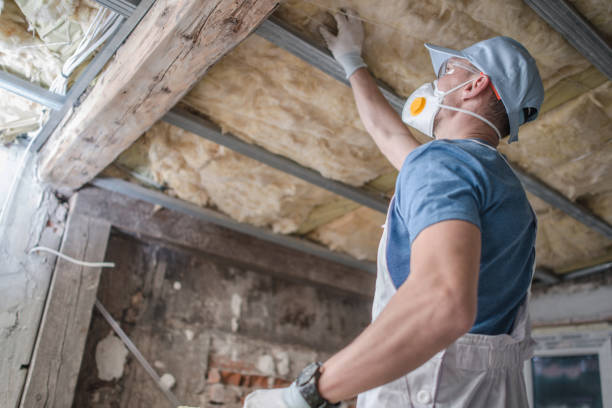 Best Insulation Installation Services in North Bend, WA